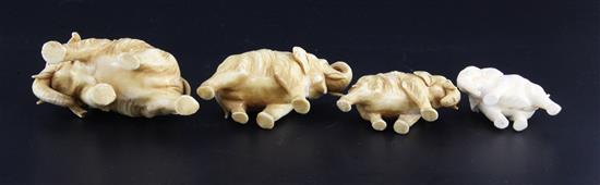 A Japanese graduated set of four ivory figures of elephants, length 5.2cm - 9.3cm